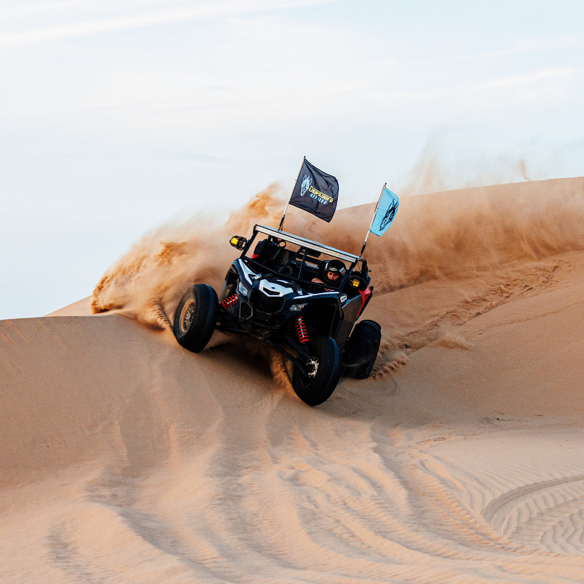 R5_0303_1200x1200.jpg?v=1668545464